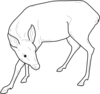 Deer Outline Looking Back Clip Art